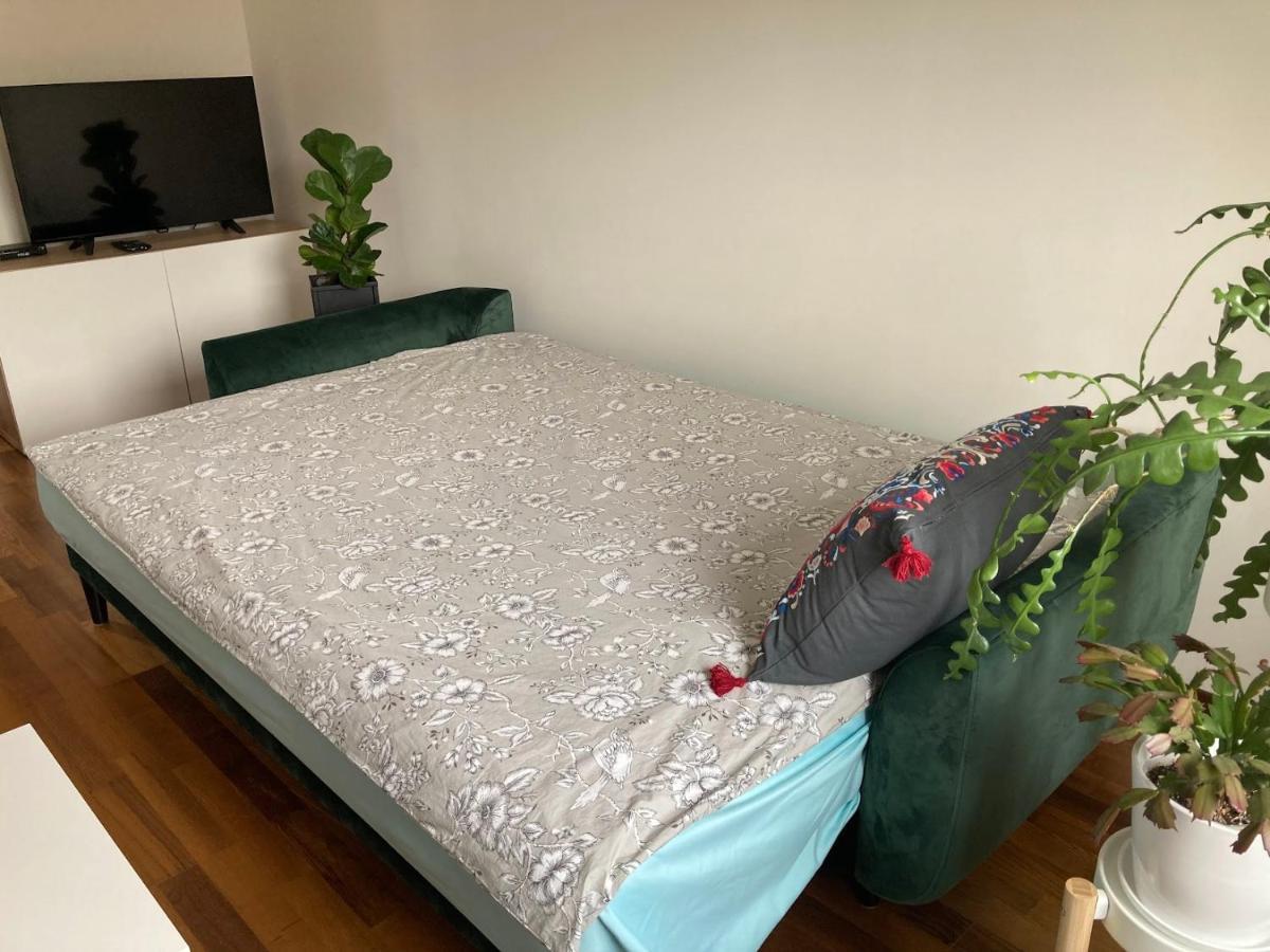 Apartament Wakacyjny コウォブジェク エクステリア 写真